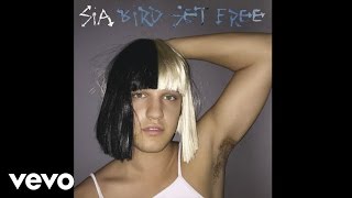 Bird Set free Instrumental in the Style of Sia With backing vocals