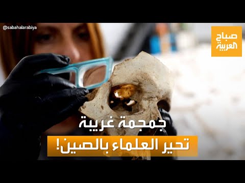 صباح العربية تعيد اكتشاف البشرية جمجمة غريبة الشكل في الصين تحير العلماء