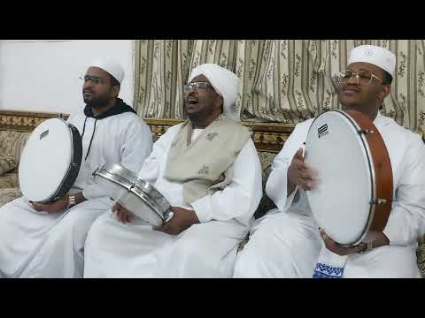 مدائح شيخ أحمد ود سعد يامن دائم بقاك شيخ عبدالله الحبر وأبناءه ابشريعة وأسعد 1 3 2024م
