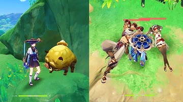 Genshin Impact : This Bug Makes Enemies Never Attack you Again