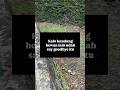 Gajahnya heran sendiri bocah pada panik