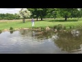 Barkley the wire haired dachshund almost goes into the water...again...bit further this time