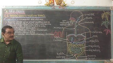 Std-10,વિજ્ઞાન,chap-6 જૈવિક ક્રિયાઓ,part-6