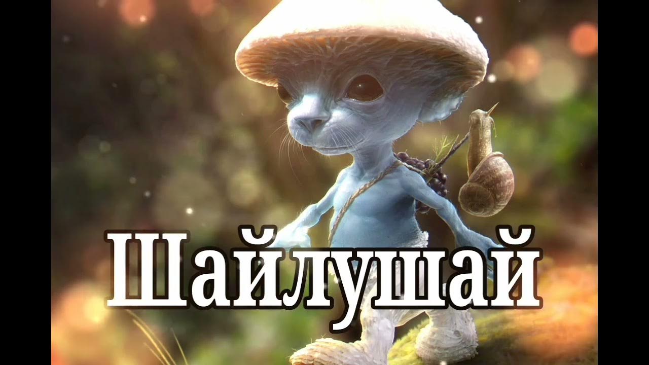 рысь обыкновенная lynx lynx linnaeus, 1758. шайлушай игрушка. фото шайлуши. фото шайлуши. мемы с шайлушаем.