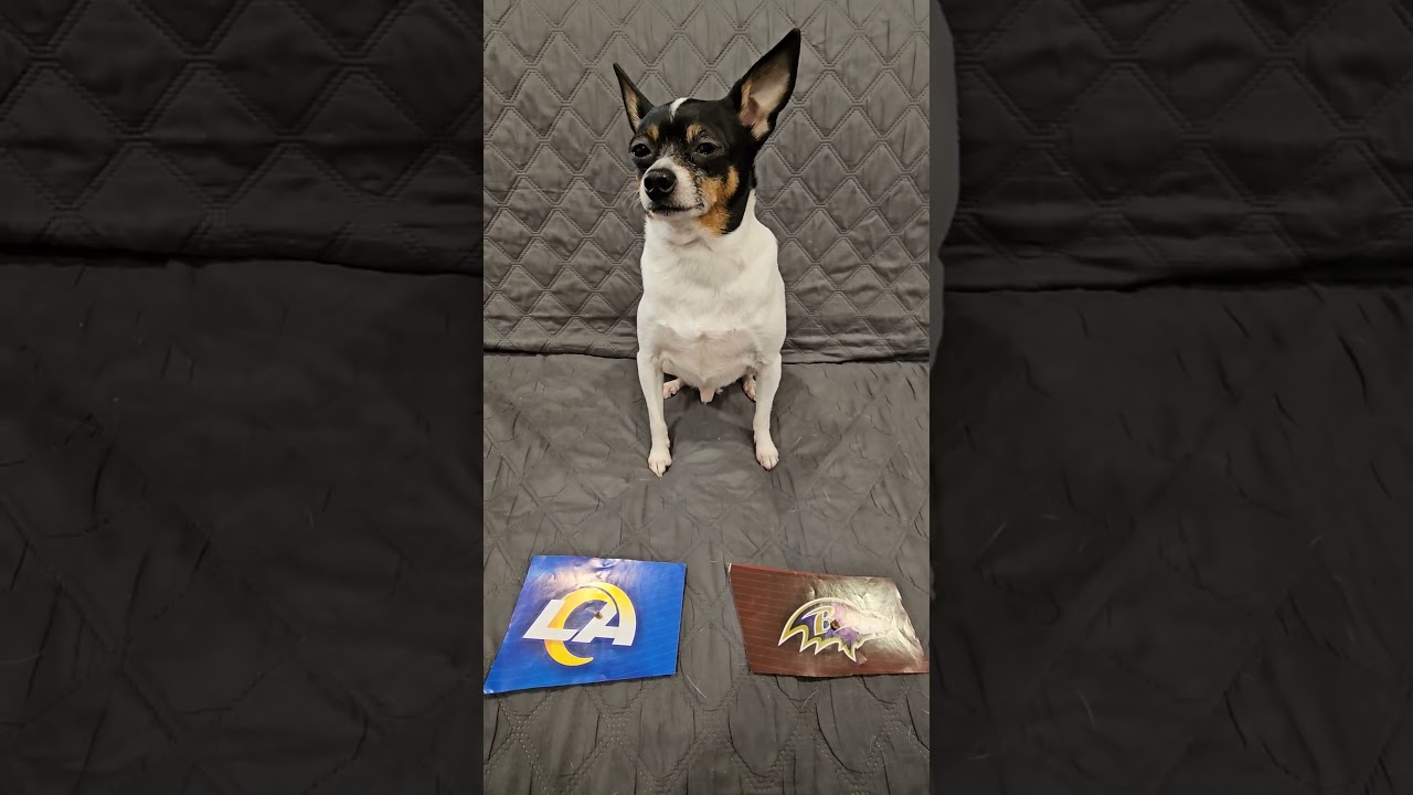 Coco predicts Rams vs Ravens 