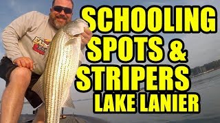 Schooling Spots & Stripers on Lake Lanier