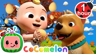 JJ's Egg Catching Adventure! + More CoComelon Nursery Rhymes & Kids Songs | CoComelon Toy Play