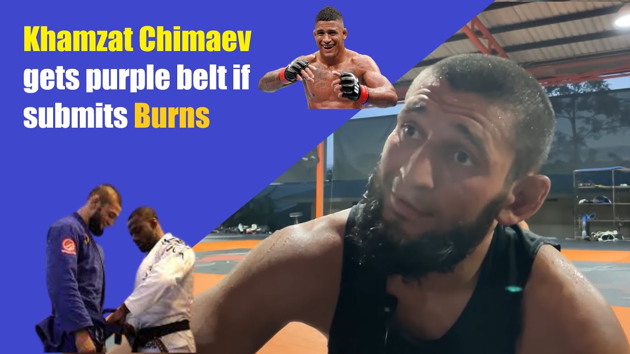 Khamzat Chimaev gets a purple belt if he submits GIlbert Burns at UFC 273