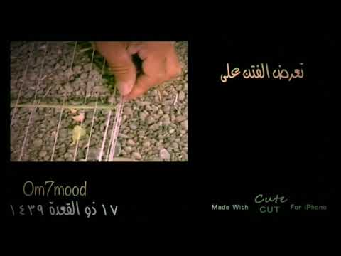 حديث شريف تعرض الفتن على القلوب كالحصير عودا عودا فأي قلب أشربها نكتت فيه نكتة سوداء