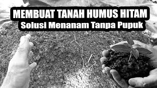 Cara Buat Media Tanam ‼️Tanah HUMUS Tanaman Tanpa Di Pupuk  Bisa Tumbuh Subur by INFO RAGAM PERTANIAN 1,637 views 1 month ago 8 minutes, 47 seconds