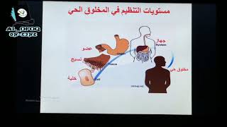 الصف السادس مادة العلوم درس مستويات التنظيم في المخلوقات الحية