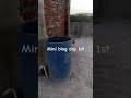 Day 1st of my mini blog #blog #viral
