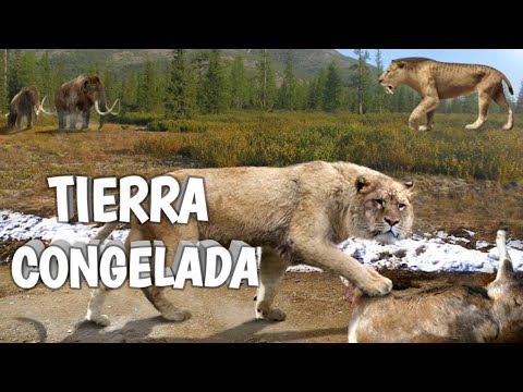 Video: ¿Fue la edad de piedra antes de la edad de hielo?