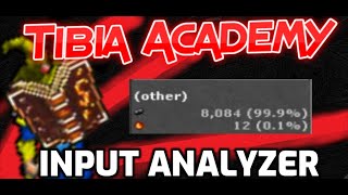Tibia Academy - Input analyzer