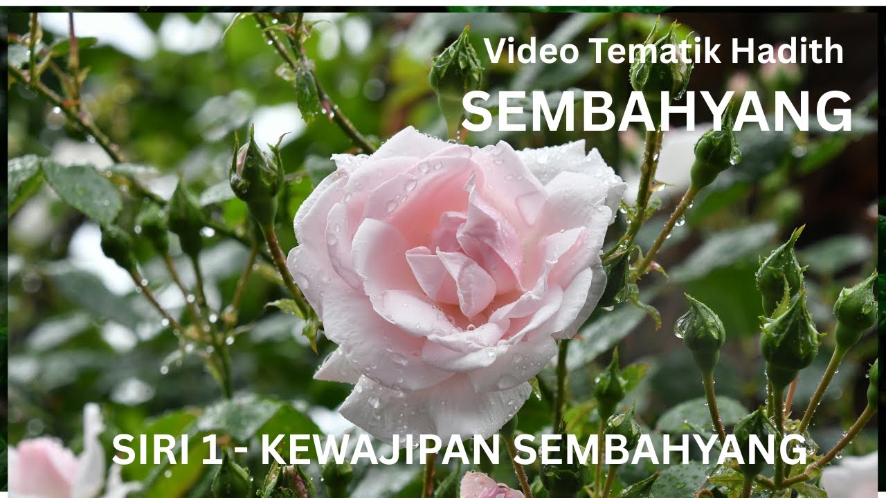 [SEMBAHYANG - Siri 1] - Kewajipan Sembahyang [VIDEO TEMATIK HADITH ...