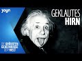 Wer klaute Einsteins Hirn – und warum? 🧠 | Die größten Geheimnisse | Kabel Eins