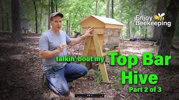 Top Bar Hive 2 of 3 2025