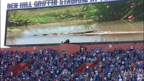 The Entrance Video at The Swamp: Heeeere Come the Gators!