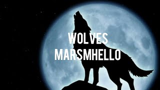 (MSG Extended Mix Edit) Wolves Marsmhello