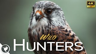 Wild Hunters of the Animal Kingdom in 4K Ultra HD -  Relax With Uplifting Ambient Music by Relax Earthfully 2,945 views 11 months ago 44 minutes