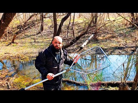 Рыбалка с подсаком на лужах после разлива реки, выхватил много рыбы !