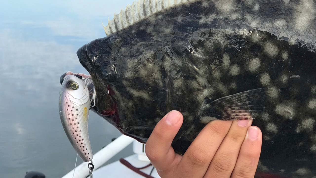 How to Catch Big Flounder Inshore on Artificial & Bait (Flounder Fishing  Tactics) 