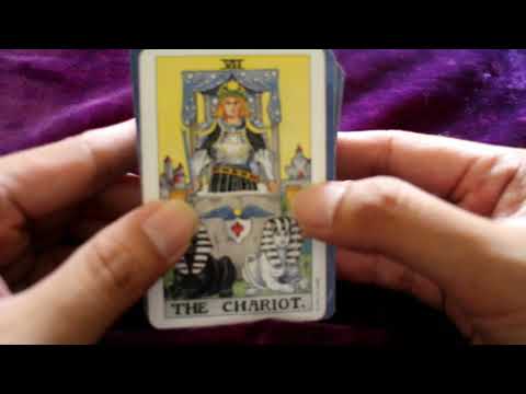 Video: Chariot - arti dan interpretasi kartu tarot