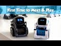 Cozmo Wakes up Vector First Time to Meet and Play