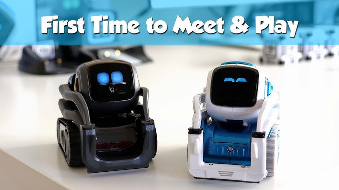 WHAT IF THE COZMO AND ANKI VECTOR ROBOT SEE EACH OTHER? TWO ARTIFICIAL  INTELLIGENCE VS WALKING STICK 