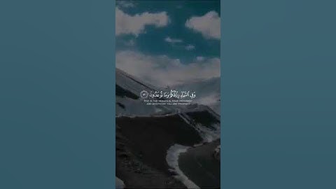 حالات واتس اب مؤثرة | اية تهز قلبك بصوت القارئ | Quran Status, 91 (2)