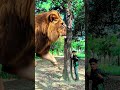 🇮🇳 love you india 🫡 teeri mitti me mila #youtubeshorts #trending #indianarmy