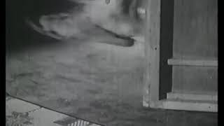 Ektajiv Sadashiv song(1)