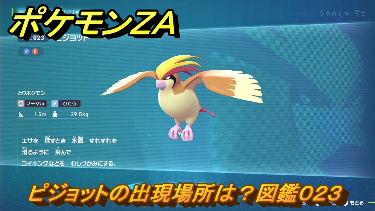 ポケモン　ピジョット　レジェンダリーコレクション　PSA7 ポケモンZA ピジョットの出現場所は？図鑑023 ＃200