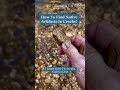 Tips For Finding Artifacts In Creeks! #trending #viral #artifacts #adventure #explore #fyp #foryou