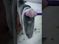 Cleaning Weapons Went WRONG...