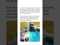 Avatar State Lost Its Depth In Korra