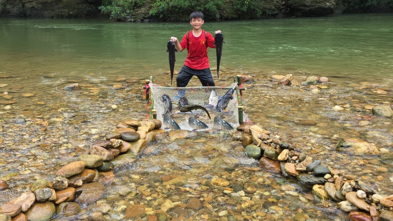 Bac used the primitive stone arrangement method to create fish traps, harvest catfish for sale.