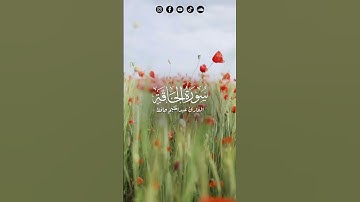 ما تيسر من سورة الحاقة ❤️ #راحة_نفسية #quran #اكسبلور #surah