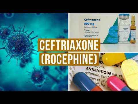 Vidéo: Cefaxon - Instructions Pour L'utilisation Des Injections, Prix Des Antibiotiques, Avis