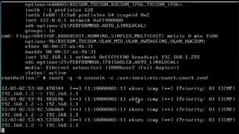 attack and defense freebsd #1 how to install snort nids on freebsd