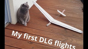 1m homebuild DLG flights/ plans