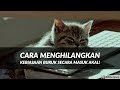 Motivasi Hidup Sukses - INI DIA CARA MENGHILANGKAN KECANDUAN & KEBIASAAN BURUK YANG BENAR!