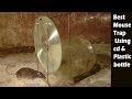 Best Mouse / Rat Trap Using cd & Plastic bottle - Amazing ideas |Simple Mouse Trap that Works