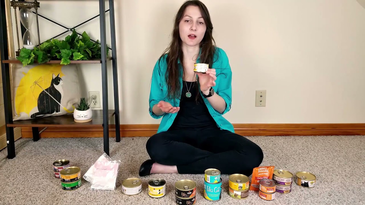 Weruva Cats in the Kitchen Chicken Frick 'a Zee Review (We Tried It)