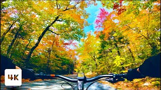 Biking Acadia’s Carriage Roads | Maine | Beautiful Autumn Colors | 4K