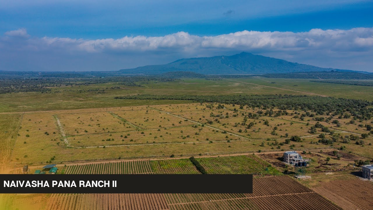 𝐍𝐚𝐢𝐯𝐚𝐬𝐡𝐚 𝐏𝐫𝐢𝐦𝐞 𝐏𝐥𝐨𝐭𝐬 𝐟𝐨𝐫 𝐒𝐚𝐥𝐞 | 𝐏𝐚𝐧𝐚 𝐑𝐚𝐧𝐜𝐡 𝐈𝐈 - YouTube