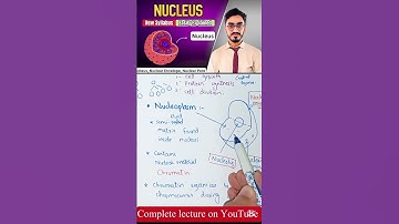 Nucleoplasm - Nucleus Explained | Biology Class 11 | Bew Syllabus #biology