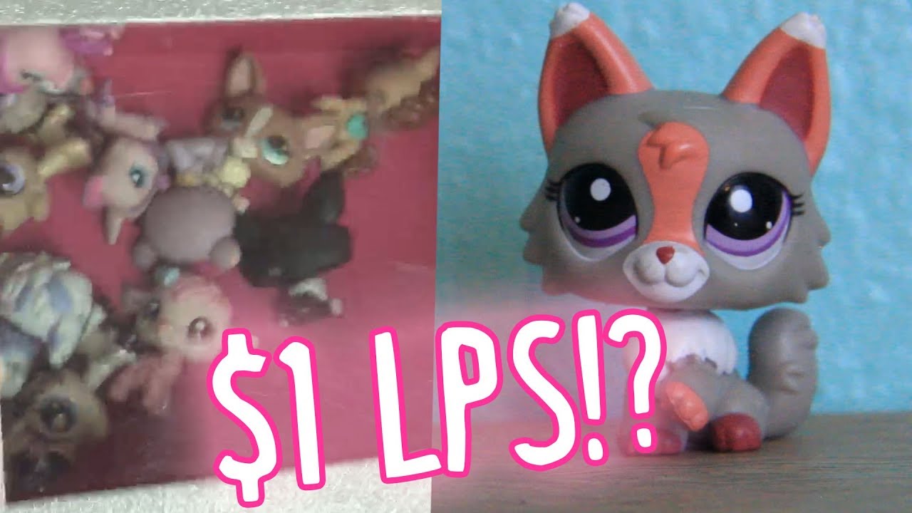 lps cats for 1 dollar