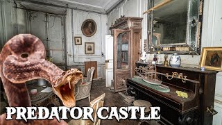 Mystifying Abandoned Predator CASTLE in France | 15THCENTURY TIME TREASURE