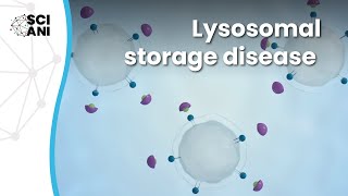 What are Lysosomal Storage Diseases?